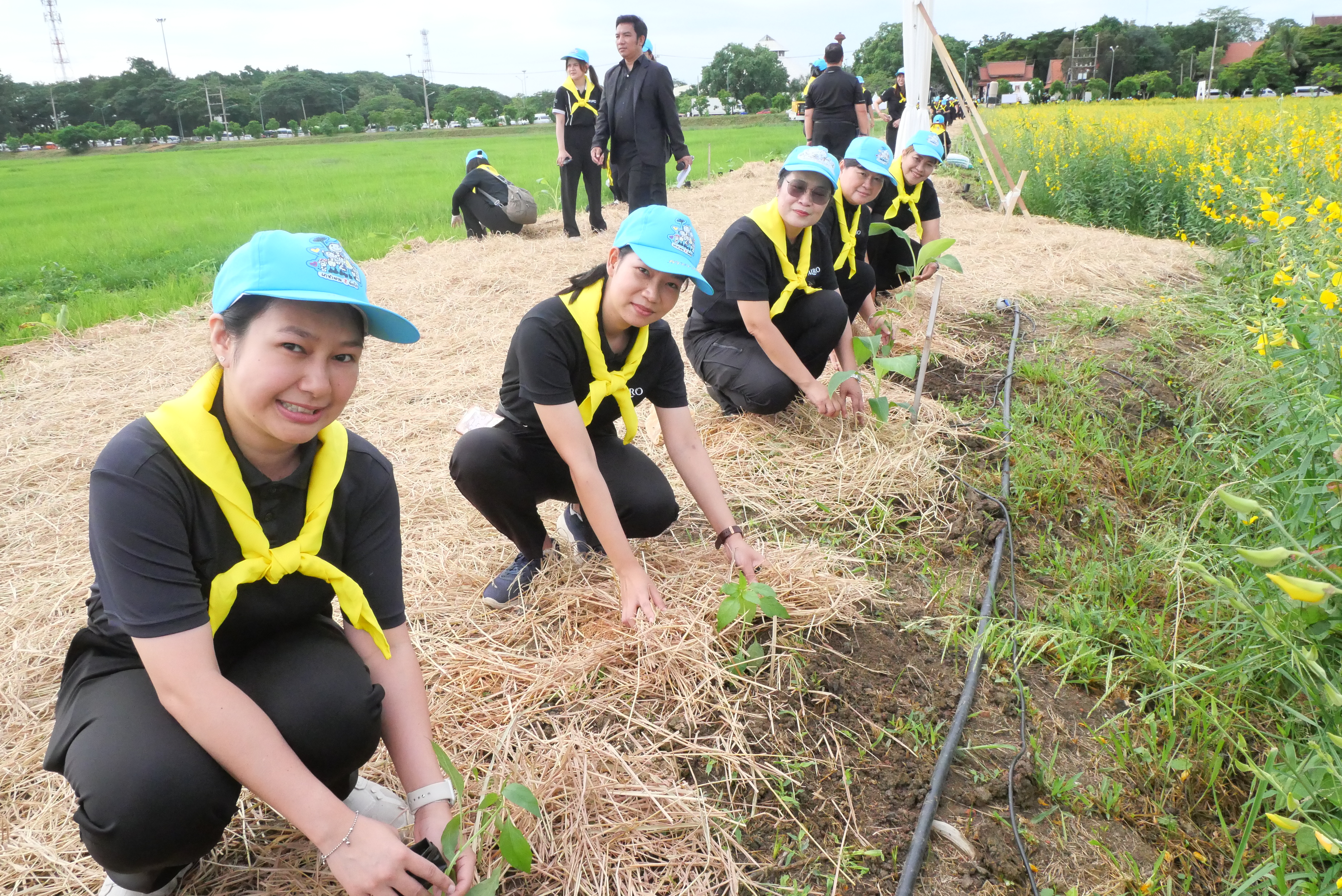 title - ส.ป.ก. ร่วมโครงการจิตอาสาพัฒนาด้านการเกษตรกระทรวงเกษตรและสหกรณ์ เนื่องในวันคล้ายวันพระราชสมภพ สมเด็จพระนางเจ้าสิริกิติ์ พระบรมราชินีนาถ พระบรมราชชนนีพันปีหลวง และวันแม่แห่งชาติ 12 สิงหาคม 2569
